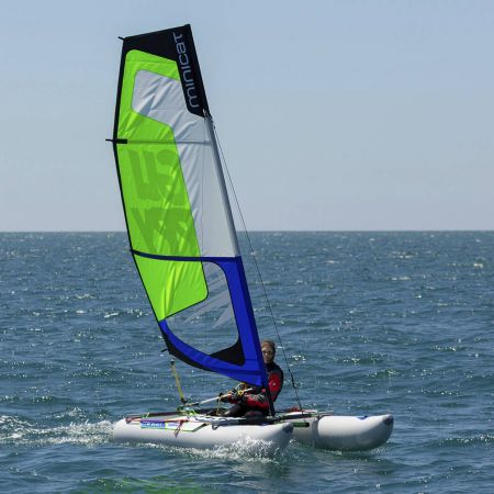 MinicatGuppy 0043