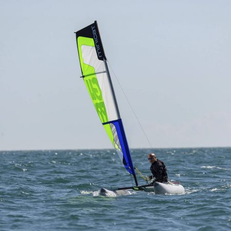 MinicatGuppy 0067