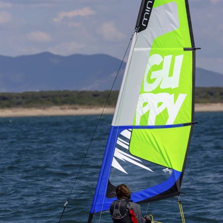 MinicatGuppy 0069